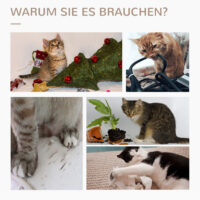 Kratzbaum Kratzstamm Kratzsäule für Katzen 79cm