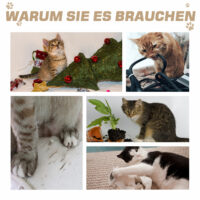 Kratzbaum mit Katzenhöhle Katzenbaum Kletterbaum 66x38x88cm