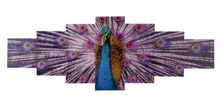 Leinwandbild Wandbild 7-teilig 140x50cm Pfau