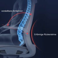 SIHOO Bürostuhl ergonomisch Taillenstütze hochklappbare Armlehne