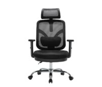 SIHOO Bürostuhl ergonomisch, verstellbare Lordosenstütze und Armlehne