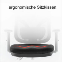 SIHOO Bürostuhl ergonomisch, verstellbare Lordosenstütze und Armlehne
