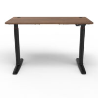 Stehpult Elektrisch Höhenverstellbarer Tisch Arogno 120x60cm