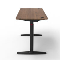 Stehpult Elektrisch Höhenverstellbarer Tisch Arogno 120x60cm