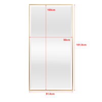 Wandspiegel Novoli 50x100cm Goldfarben