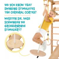 Sprossenwand Set inkl. Klimmzugstange Ringe Trapez bis 100kg