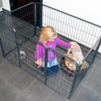 Welpen Freigehege H:70cm Welpenauslauf Freilaufgehege