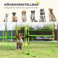 Agility Set für Hunde höhenverstellbar mit 4 Hürden und Tragetasche
