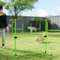 Agility Set für Hunde höhenverstellbar mit 4 Hürden und Tragetasche