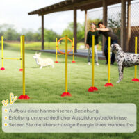 Agility Set Hundetraining mit Hürden und Slalomstangen