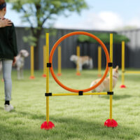 Agility Set Hundetraining mit Hürden und Slalomstangen