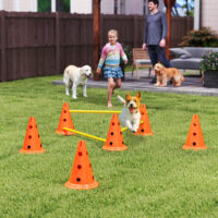 Agility Set Hund 3-teilig mit Hürden Kegeln und Tragetasche