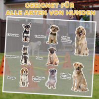 Agility Set Hund 3-teilig mit Hürden Kegeln und Tragetasche