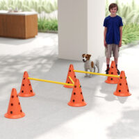 Agility Set Hund 3-teilig mit Hürden Kegeln und Tragetasche