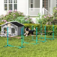 Agility Set für Hunde mit 4 höhenverstellbaren Hürden und Tragetasche