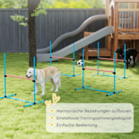 Agility Set für Hunde mit 4 höhenverstellbaren Hürden und Tragetasche