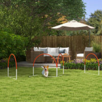 Agility Set für Hunde 4-teilig mit Tragetasche für Hundetraining