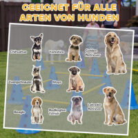 Agility Set für Hunde 6-teilig mit Hundetraining Hürden Kegel