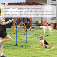 Agility Set für Hunde 7-teilig mit Hundetraining Hindernisse