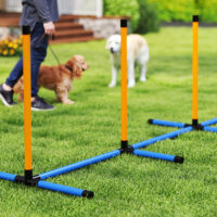 Agility Set für Hunde 7-teilig mit Hundetraining Hindernisse