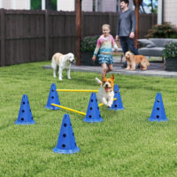 Agility Set für Hunde mit Hürden Kegel und Tragetasche