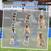 Agility Set für Hunde mit Hürden Kegel und Tragetasche