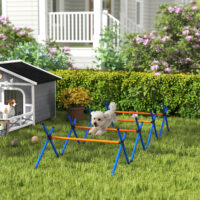 Agility Set für kleine Hunde mit höhenverstellbaren Hürden