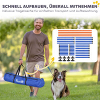 Agility Set für kleine Hunde mit höhenverstellbaren Hürden