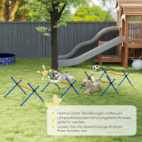 Agility Set für kleine Hunde mit höhenverstellbaren Hürden