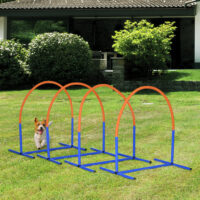 Blau-oranges 4-teiliges Agility Trainingsset mit Tragetasche, ideal für abwechslungsreiches Hundetraining und den Transport.