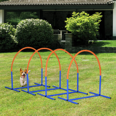Blau-oranges 4-teiliges Agility Trainingsset mit Tragetasche, ideal für abwechslungsreiches Hundetraining und den Transport.