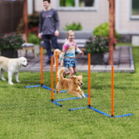 Agility Trainingsset für Hunde mit Slalomstangen und Tasche