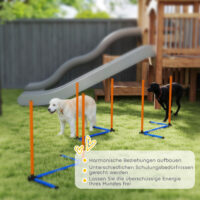 Agility Trainingsset für Hunde mit Slalomstangen und Tasche
