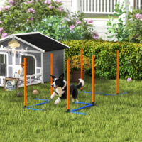 Agility Trainingsset für Hunde mit Slalomstangen und Tasche