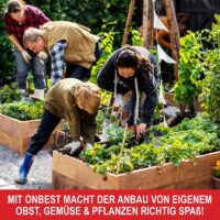 Holz-Beetrahmen im 3er-Set, flexibel stapelbar für verschiedene Pflanzenhöhen.