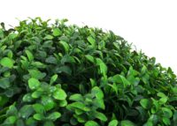 Künstlicher Buchsbaum Busch Ø55 cm grün für Außenbereich