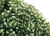 Künstliche Buchsbaumkugel Ø35 cm weiß Outdoor Dekoration