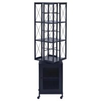 Bücherregal Standregal Drehregal Rollen Tür Metall Industrial 162x40x42cm schwarz