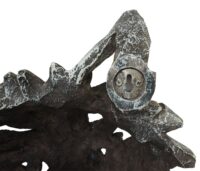 Deko Wolfskopf Schädel aus Polyresin 32 cm Wanddeko