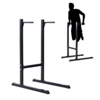 Dipstation Dipständer Bauchtrainer Rückentrainer