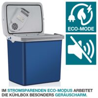 Mobile elektrische 2-in-1 Kühlbox und Wärmebox (25 Liter), leise und vielseitig.