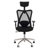 Ergonomischer Bürostuhl schwarz mit verstellbarer Lordosenstütze