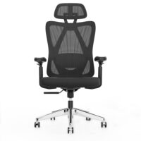 Ergonomischer Bürostuhl mit Lordosenstütze, Kopfstütze und höhenverstellbarer Funktion.