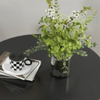 Ein runder schwarzer Esstisch 78x75cm mit Spider-Stahlgestell.