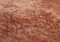 Esszimmerstuhl Küchenstuhl Polsterstuhl Holz Chenille terrakotta
