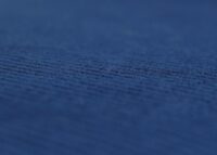 Esszimmerstuhl Küchenstuhl Polsterstuhl Holz Cord blau