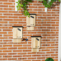 Fledermaushaus Set wetterfest für Garten und Balkon aus Holz