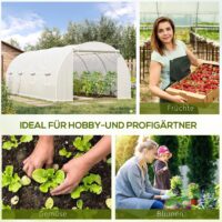 Seitliche Lüftungsfenster für gute Luftzirkulation im Folientunnel