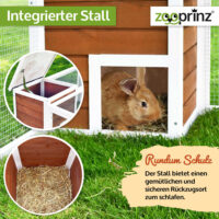 Offenes Freigehege mit Holzhaus für Schutz und Spielmöglichkeiten.