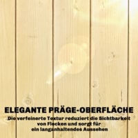 Gartenschrank hoch mit Ablage und Belüftung für Garten Holz